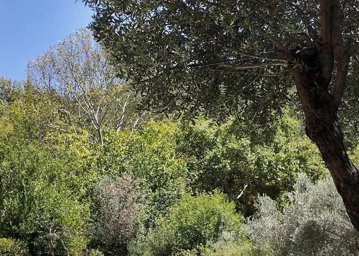 Hotel Izmir Yasam Vadisi Bornova