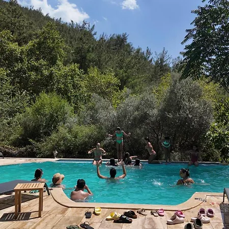 Izmir Yasam Vadisi *