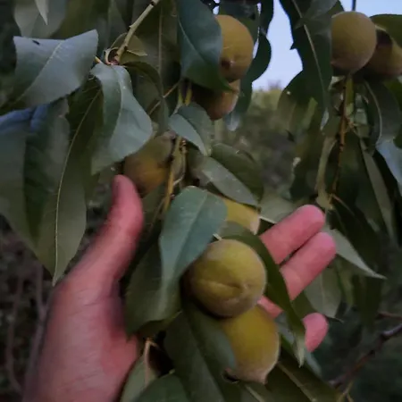 Izmir Yasam Vadisi Hotel *
