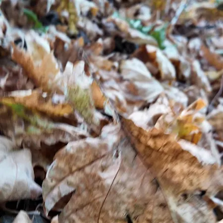 Izmir Yasam Vadisi *