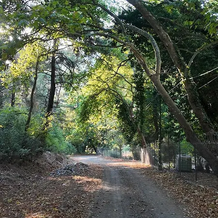 Hotel Izmir Yasam Vadisi