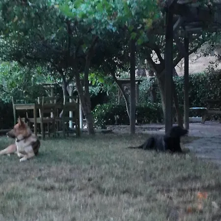 Izmir Yasam Vadisi Hotel *