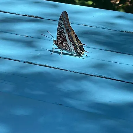 Hotel Izmir Yasam Vadisi