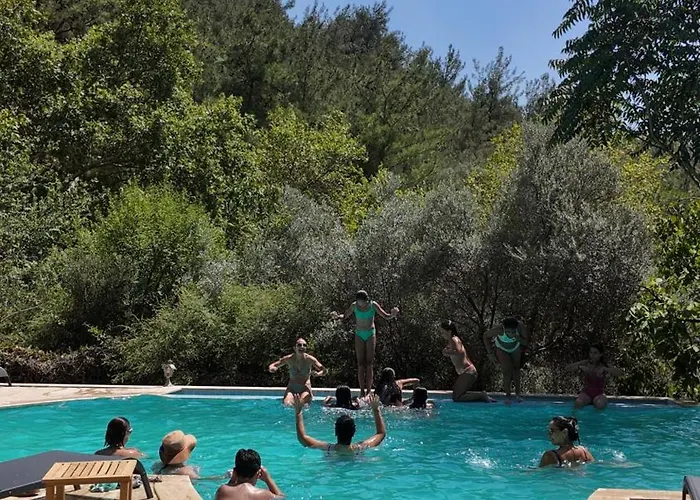 Izmir Yasam Vadisi *