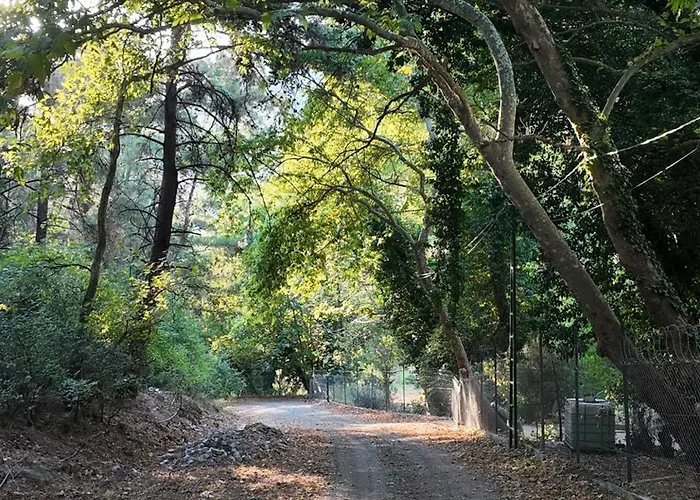 Hotel Izmir Yasam Vadisi