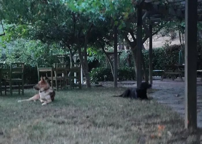 Izmir Yasam Vadisi Hotel *