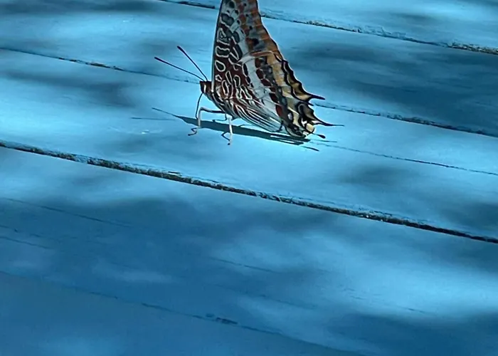 Hotel Izmir Yasam Vadisi